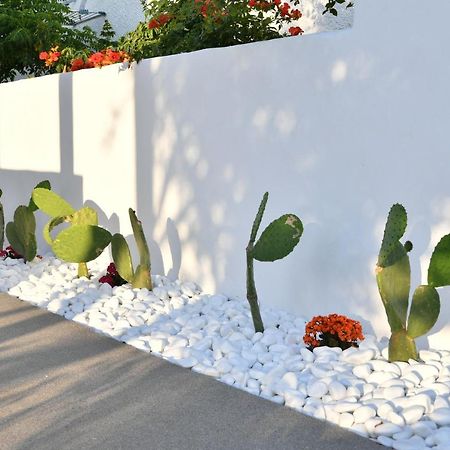 21 Luxury Apartments เนาซา ภายนอก รูปภาพ